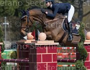 Lippi Bruni Caesar TosTour2013- S5 2295 : Arezzo, Arezzo Equestrian Centre, Caesar, Lippi Bruni Rebecca, Toscana Tour 2013, foto di Stefano Secchi ©